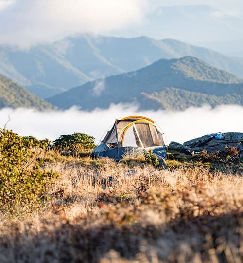 more camp 3.jpg